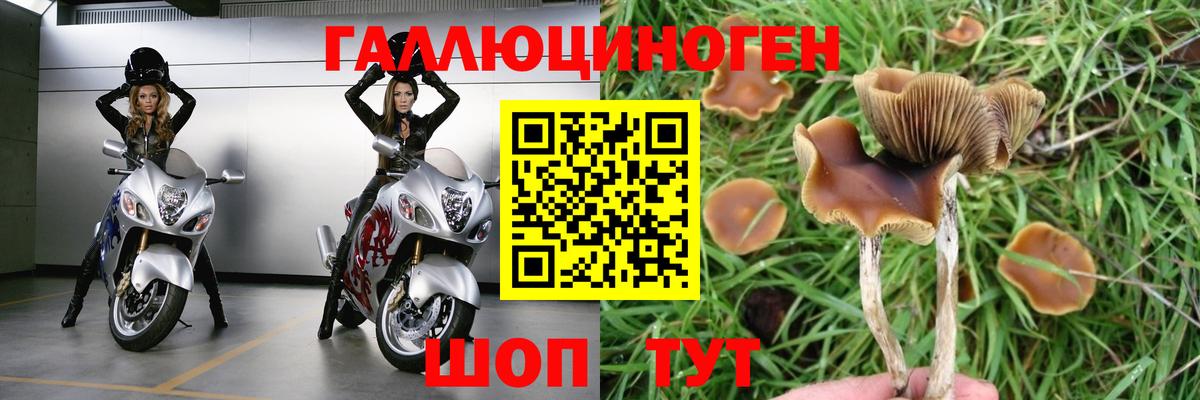 Галлюциногенные грибы MAGIC MUSHROOMS Красноуфимск
