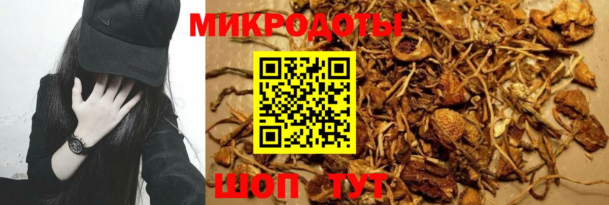 Галлюциногенные грибы Magic Shrooms  Псилоцибиновые грибы GOLDEN TEACHER  Вход с VPN  Красноуфимск 